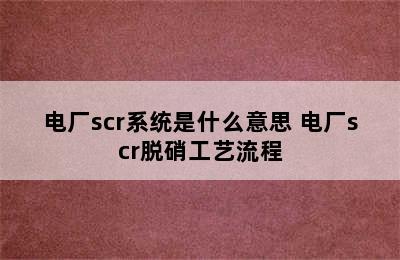 电厂scr系统是什么意思 电厂scr脱硝工艺流程